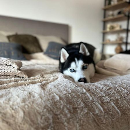 Apartman Freya ลิฟตอฟสกีมิคูลาช ภายนอก รูปภาพ