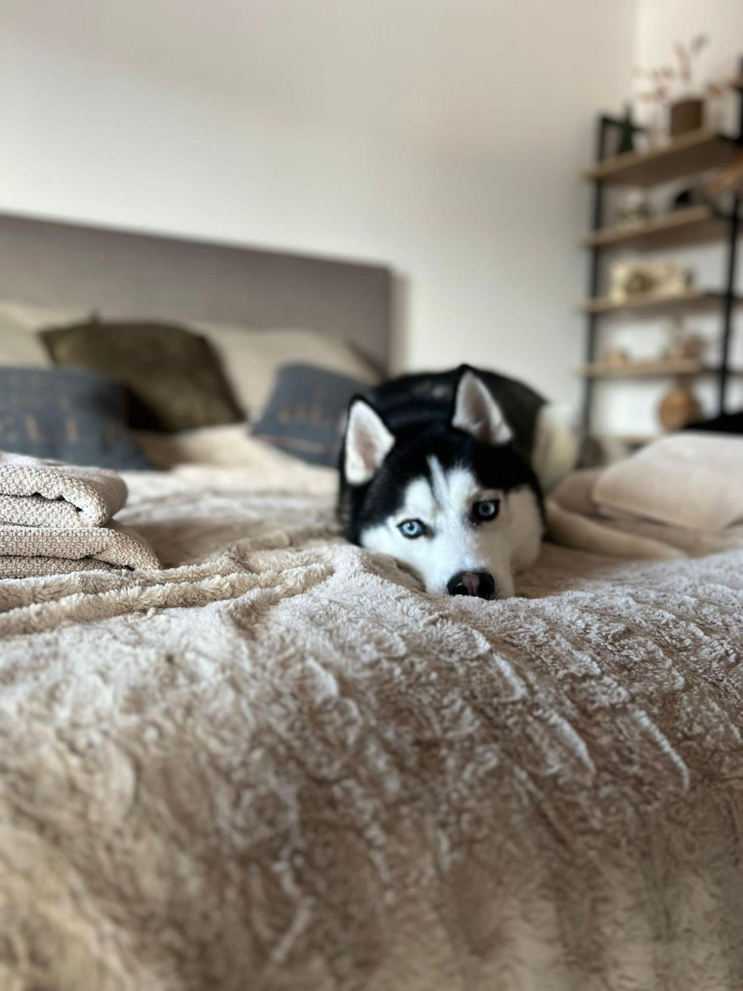 Apartman Freya ลิฟตอฟสกีมิคูลาช ภายนอก รูปภาพ