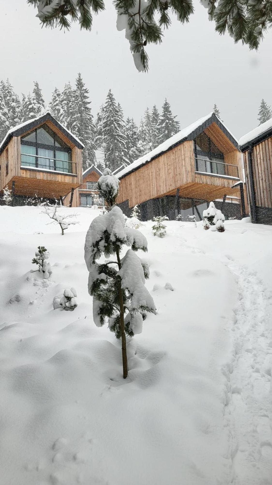 Apartman Freya ลิฟตอฟสกีมิคูลาช ภายนอก รูปภาพ